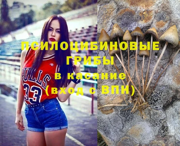 индика Армянск