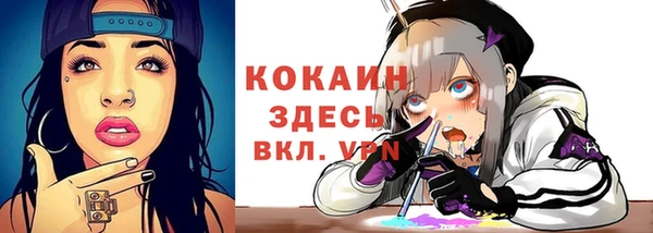индика Армянск