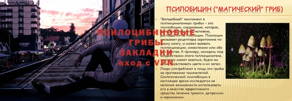 гидра Аркадак