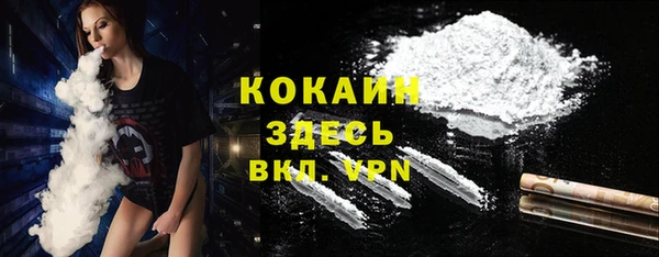 индика Армянск