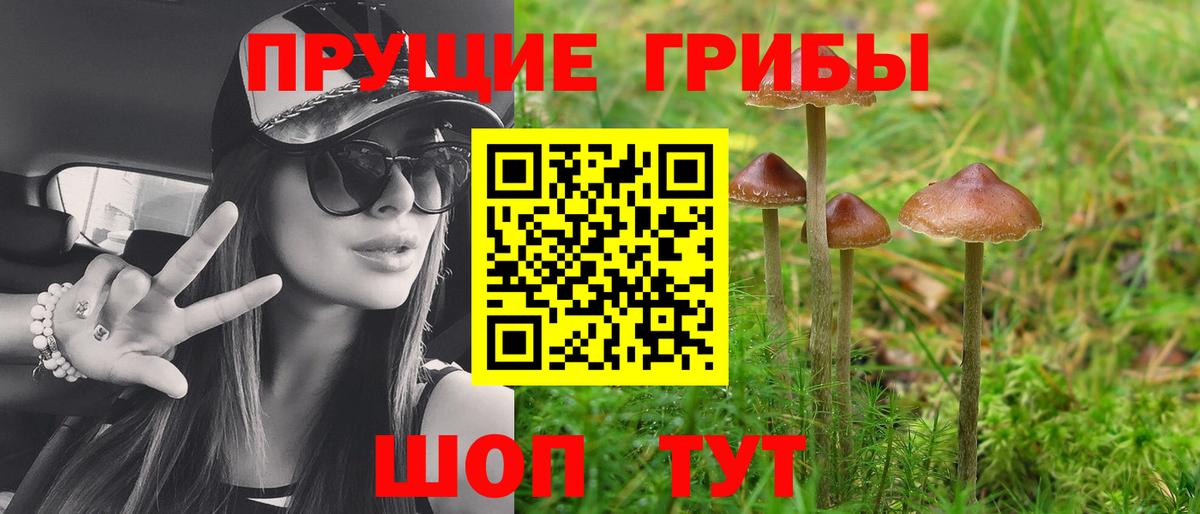 Галлюциногенные грибы прущие грибы  Вход с VPN  Белорецк  Галлюциногенные грибы прущие грибы 